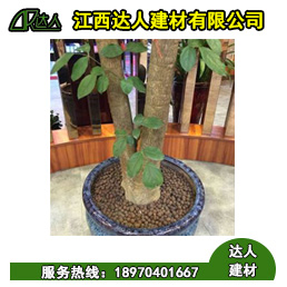 花卉園林陶粒好不好用？